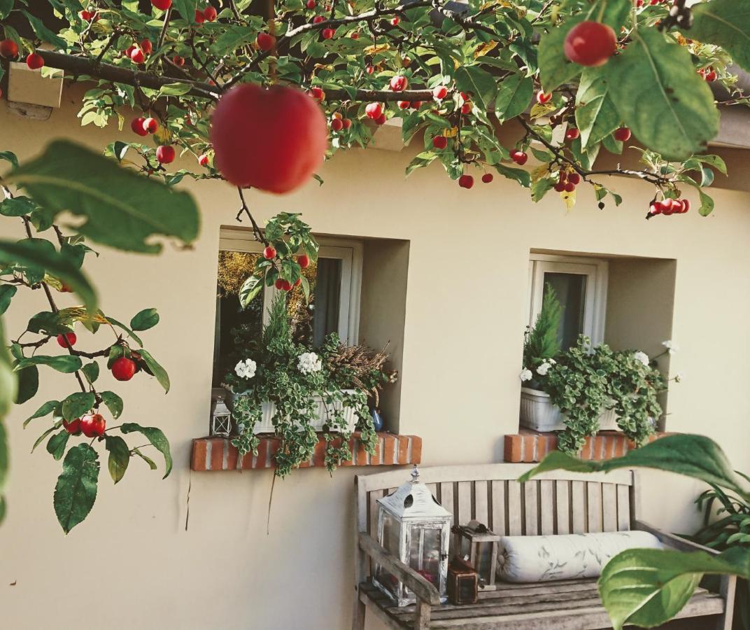 La Casa Del Giardiniere Villa Zero Branco Dış mekan fotoğraf