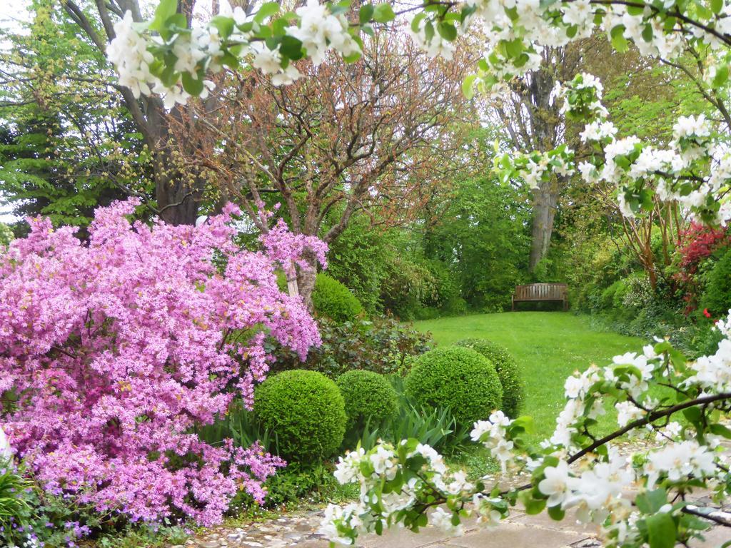 La Casa Del Giardiniere Villa Zero Branco Dış mekan fotoğraf