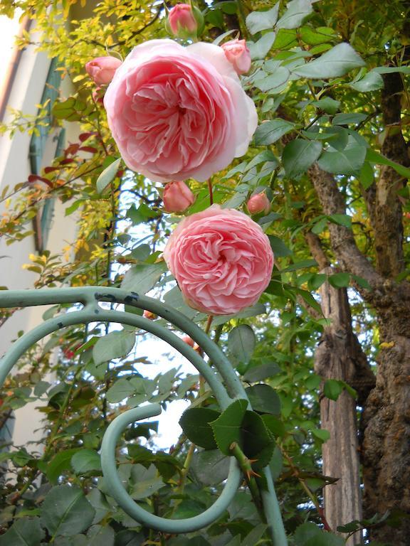 La Casa Del Giardiniere Villa Zero Branco Dış mekan fotoğraf