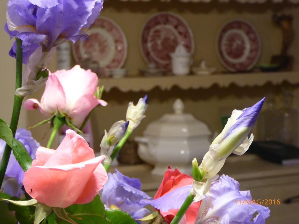 La Casa Del Giardiniere Villa Zero Branco Dış mekan fotoğraf